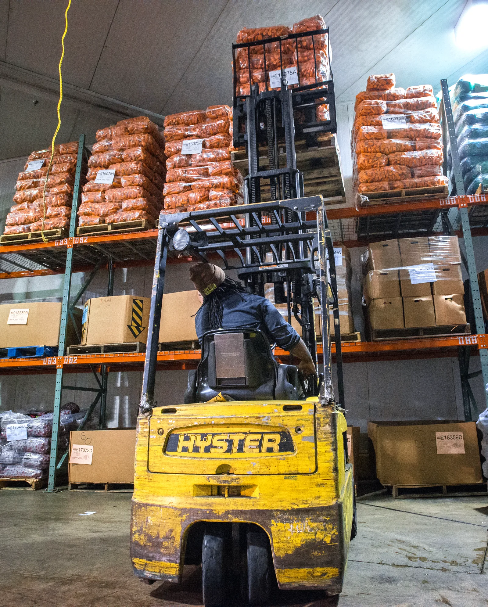 A worker seen from behind drives a yellow forklift through a refrigerated storage room, between metal racks stacked with pallets of bagged carrots and cardboard boxes