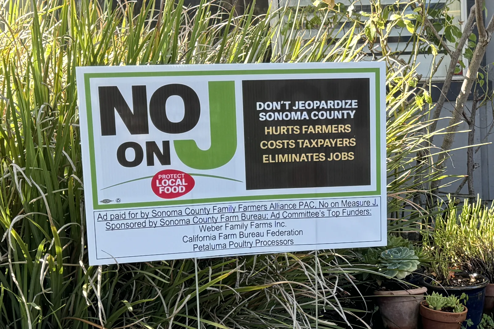 A white and green yard sign reading No on J among tall grass and potted succulents, with a printed line at the bottom naming the committee that paid for the ad and its top funders